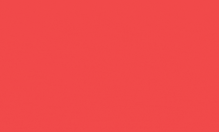 Lunar New Year Celebration